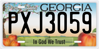 GA license plate PXJ3059