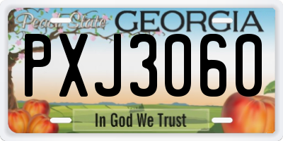 GA license plate PXJ3060