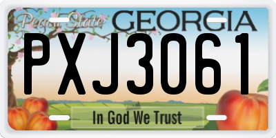 GA license plate PXJ3061