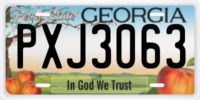 GA license plate PXJ3063