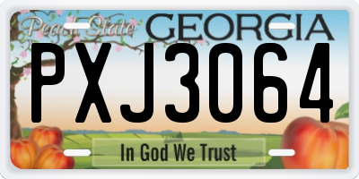 GA license plate PXJ3064