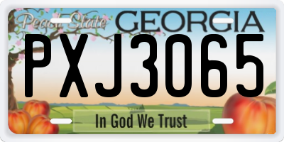 GA license plate PXJ3065