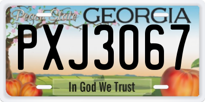 GA license plate PXJ3067