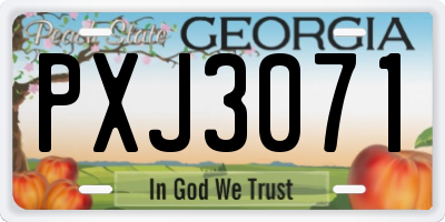GA license plate PXJ3071