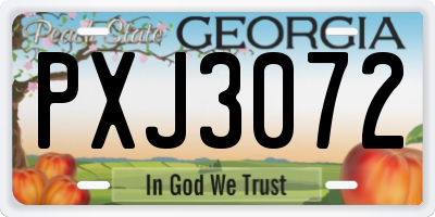 GA license plate PXJ3072