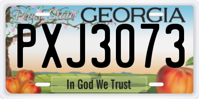 GA license plate PXJ3073
