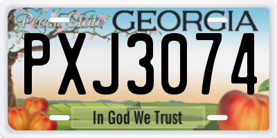 GA license plate PXJ3074