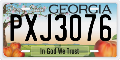 GA license plate PXJ3076