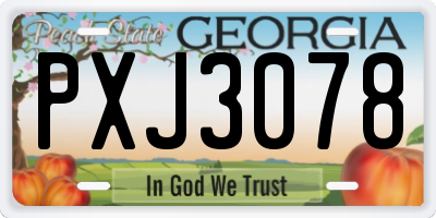 GA license plate PXJ3078