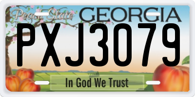 GA license plate PXJ3079
