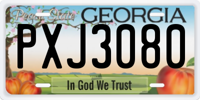 GA license plate PXJ3080