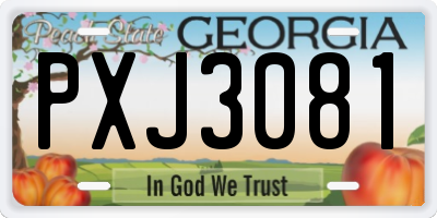 GA license plate PXJ3081