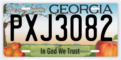 GA license plate PXJ3082
