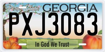 GA license plate PXJ3083