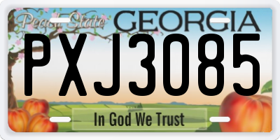 GA license plate PXJ3085