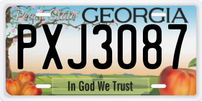 GA license plate PXJ3087