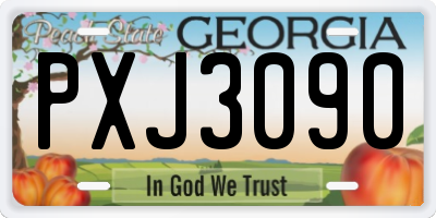 GA license plate PXJ3090