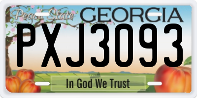 GA license plate PXJ3093