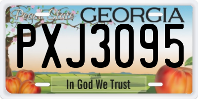GA license plate PXJ3095