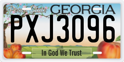 GA license plate PXJ3096