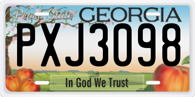 GA license plate PXJ3098