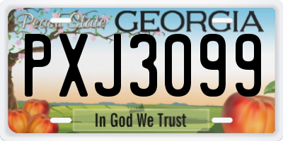 GA license plate PXJ3099