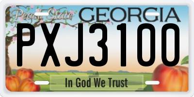 GA license plate PXJ3100