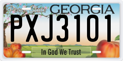 GA license plate PXJ3101