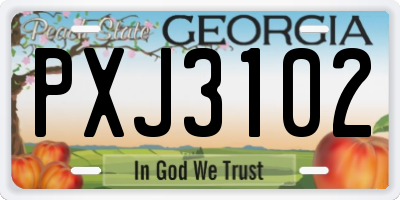 GA license plate PXJ3102