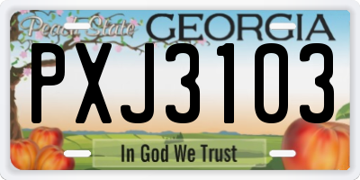 GA license plate PXJ3103