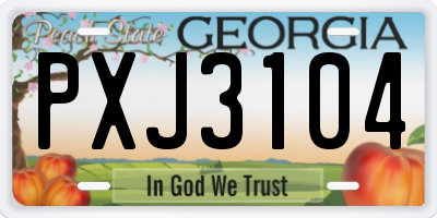 GA license plate PXJ3104
