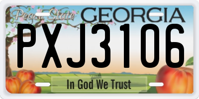GA license plate PXJ3106