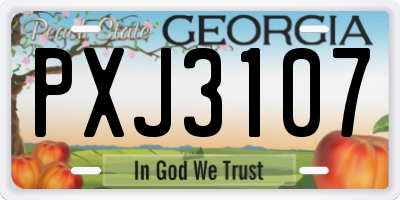 GA license plate PXJ3107