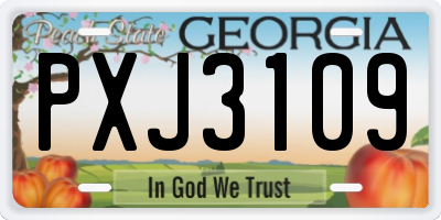 GA license plate PXJ3109