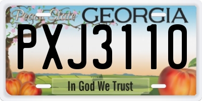 GA license plate PXJ3110