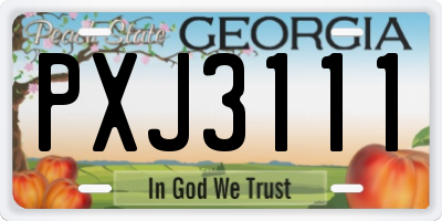 GA license plate PXJ3111