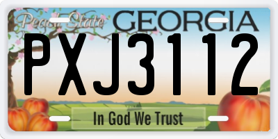 GA license plate PXJ3112