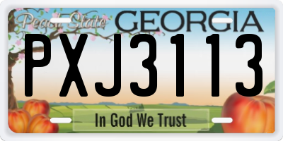 GA license plate PXJ3113