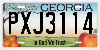 GA license plate PXJ3114
