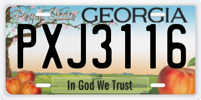 GA license plate PXJ3116