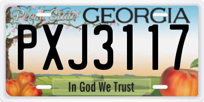GA license plate PXJ3117