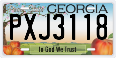 GA license plate PXJ3118