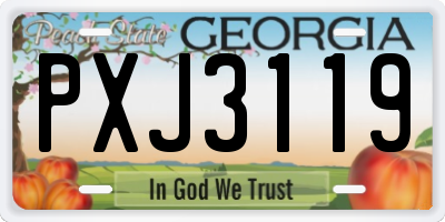 GA license plate PXJ3119