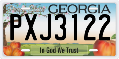 GA license plate PXJ3122