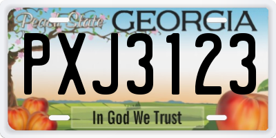 GA license plate PXJ3123