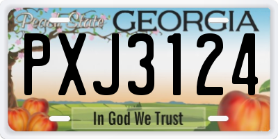 GA license plate PXJ3124