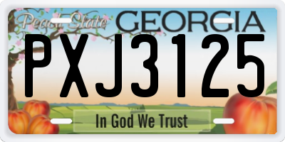 GA license plate PXJ3125