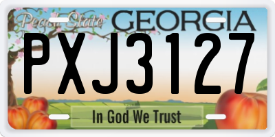 GA license plate PXJ3127
