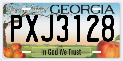 GA license plate PXJ3128