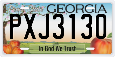 GA license plate PXJ3130